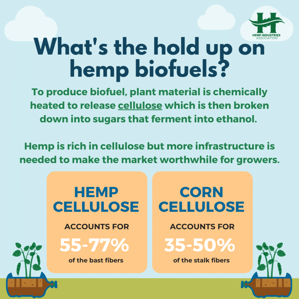 hemp biofuel needs infrastructure to compete with corn